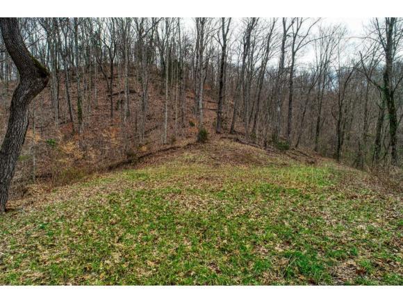 00 Shanks Gap Rd - Photo 1