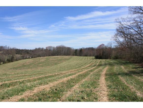 1290 Martin Road - Photo 1