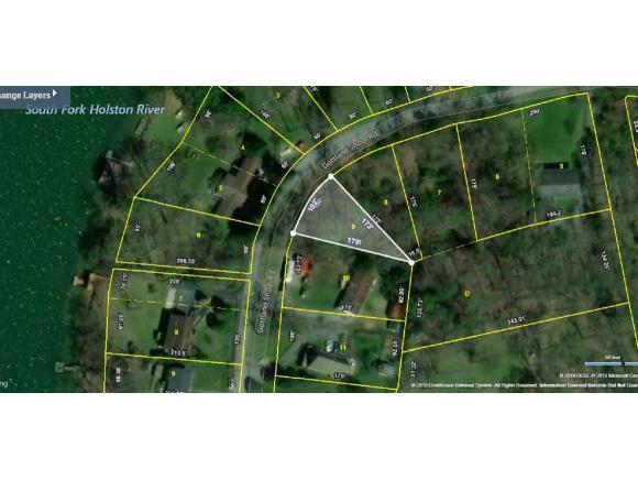 Lot 9 Gottland Shoals Road - Photo 1