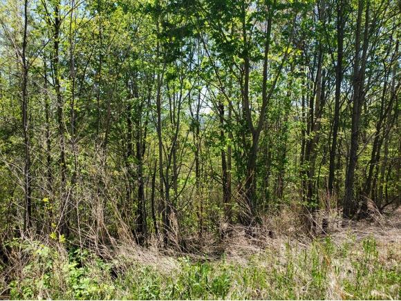 Lot 167 Chimney Rock Rd - Photo 1