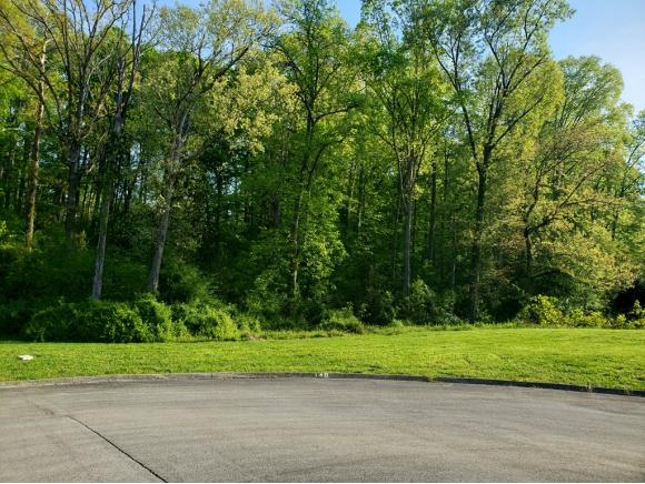 6305 Turners Pond Trl - Photo 1