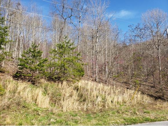 Lot 576 Whistle Valley Rd - Photo 1