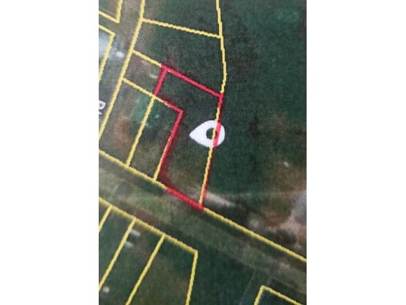 812 Fairview Street - Photo 1