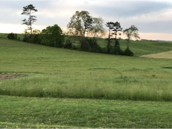 L 5,9,10 Love Hollow Rd - Erwin Hwy - Photo 1