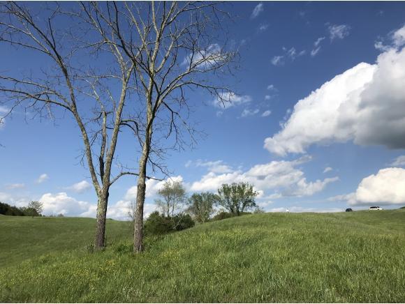 811 Grassy Creek Rd - Photo 1