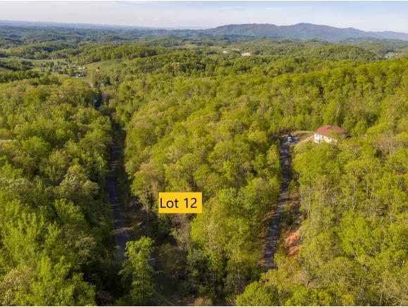 Lot 12 Pfeiffer Ridge Rd - Photo 1
