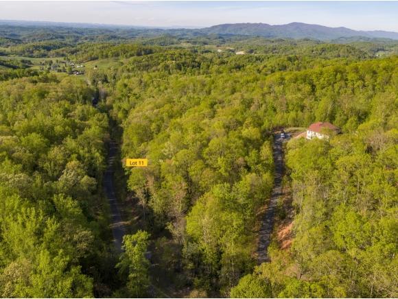 Lot 11 Pfeiffer Ridge Rd - Photo 1