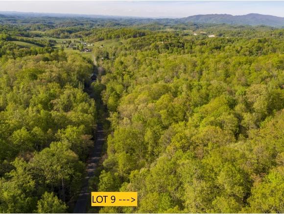 Lot 9 Pfeiffer Ridge Rd - Photo 1