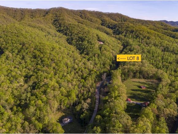 Lot 8 Pfeiffer Ridge Rd - Photo 1
