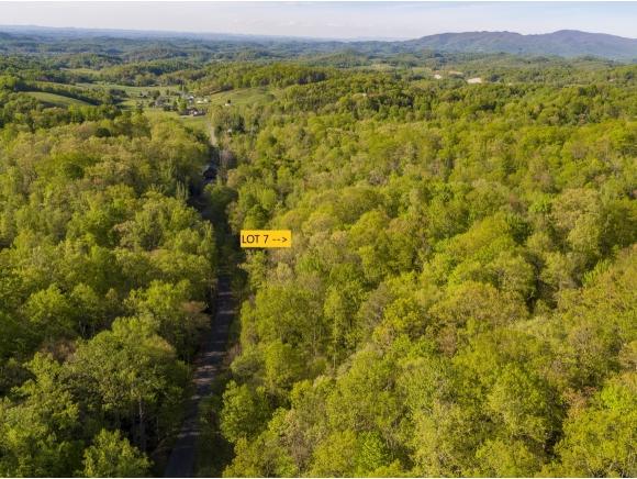 Lot 7 Pfeiffer Ridge Rd - Photo 1