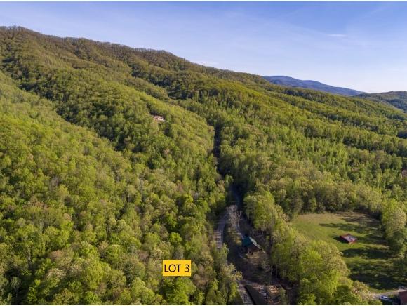 Lot 3 Pfeiffer Ridge Rd - Photo 1