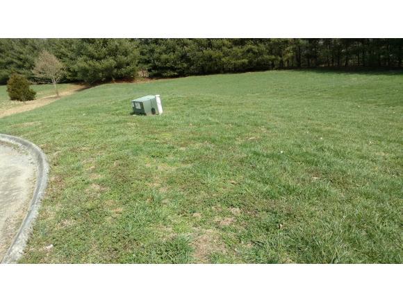 4798 Leeann Drive - Photo 1