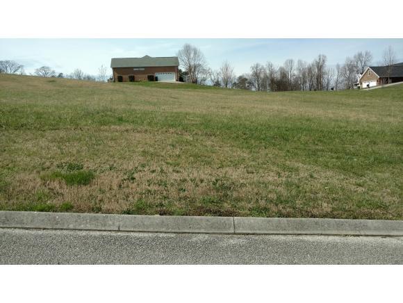 1239 Fieldstone Drive - Photo 1