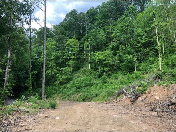 TBD Bear Hollow Rd - Photo 1