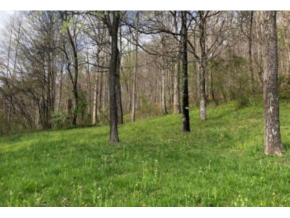TBD Sulphur Springs - Photo 1