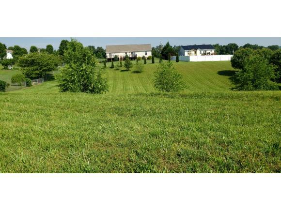2063 Buttercup Lane - Photo 1