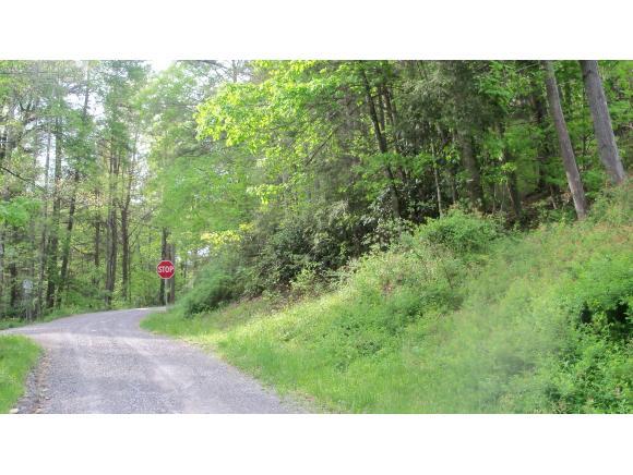 00 Flatwood - Photo 1