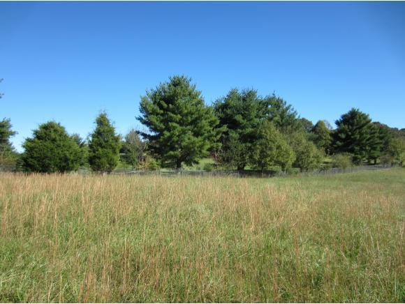309 Buncombe - Photo 1