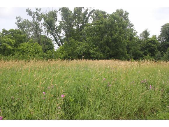 TBD State Of Franklin Rd - Photo 1