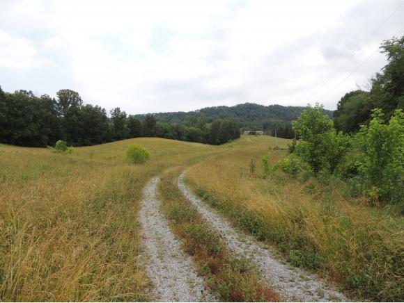 347 Beech Grove Road - Photo 1