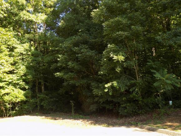 000 Lydia Drive - Photo 1