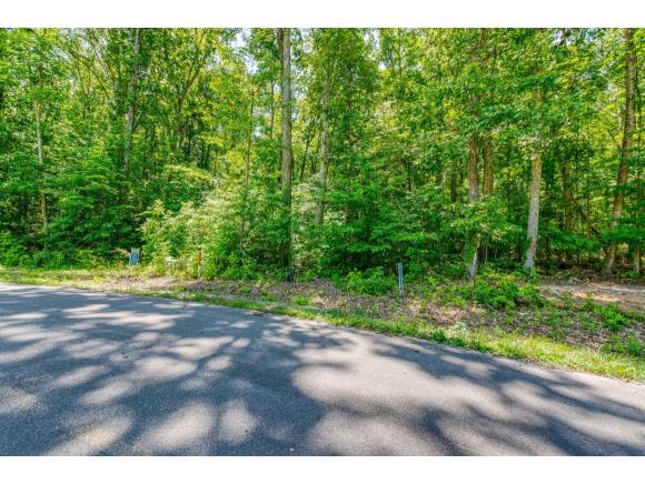 Lot 6 Allenwood Drive - Photo 1