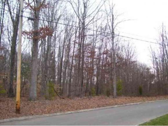 Lot 6 Harrison Ferry Road - Photo 1