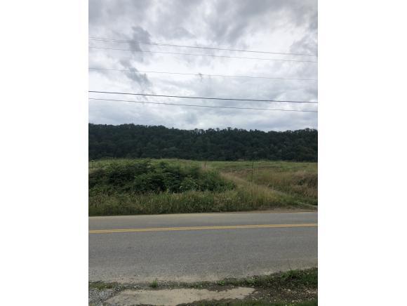 TBD Gap Creek Rd - Photo 1