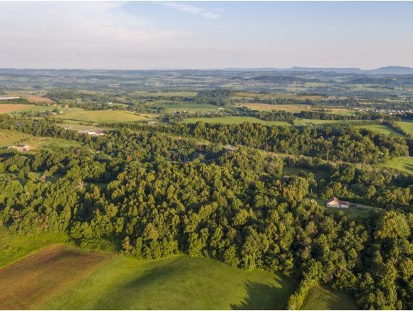 000 Mccarty Hollow Rd - Photo 1