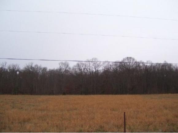 Lot 17 Devon Way - Photo 1