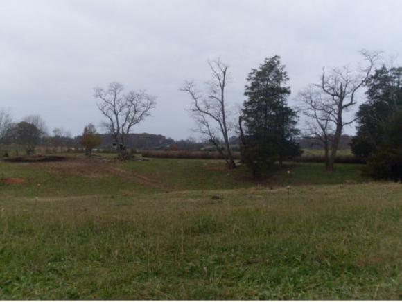 TBD Rheatown Rd (4.7Acres) - Photo 1