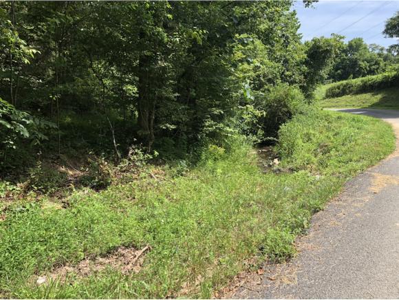 Lot #11 Williams Ln. - Photo 1