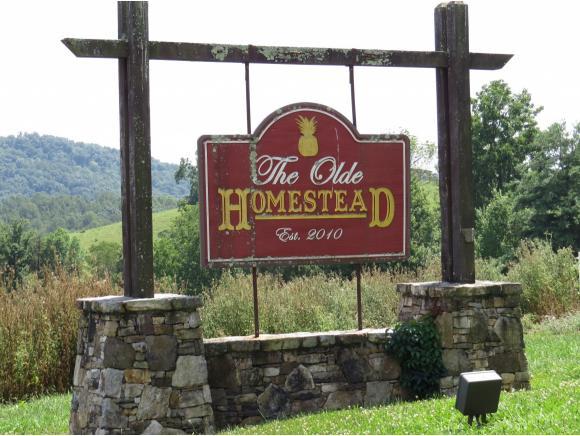 lot 1 Homestead Way - Photo 1