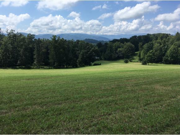 183 Al Sliger Rd - Photo 1
