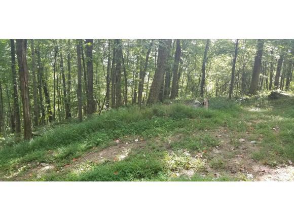 TBD Coal Pit Branch Rd - Photo 1