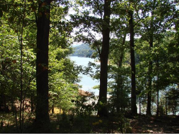 LOT 23 Lake Bend Court - Photo 1