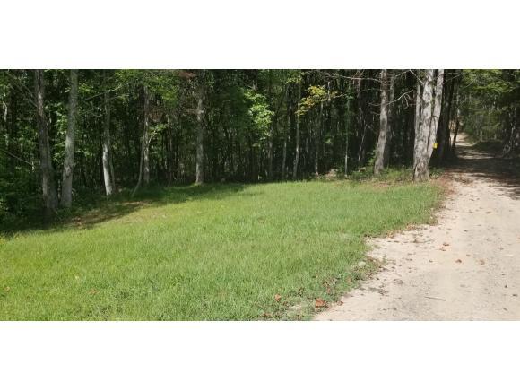 TBD Coal Pit Branch Rd - Photo 1