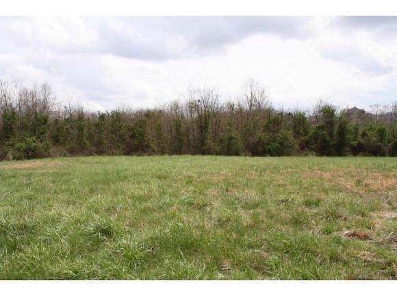 259 Lake Vista Cir - Photo 1