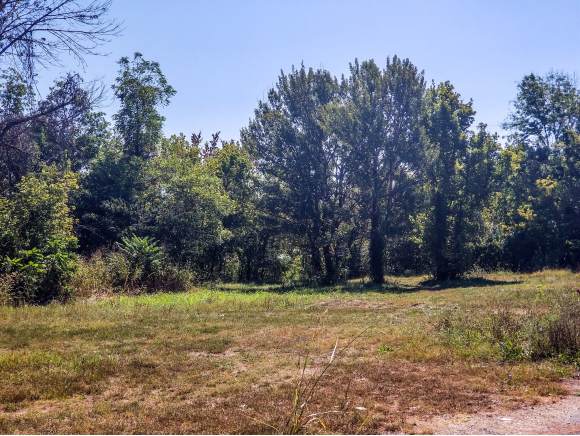 TBD Orlando Dr - Photo 1