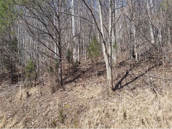 Lot 124 Chimney Rock Rd - Photo 1