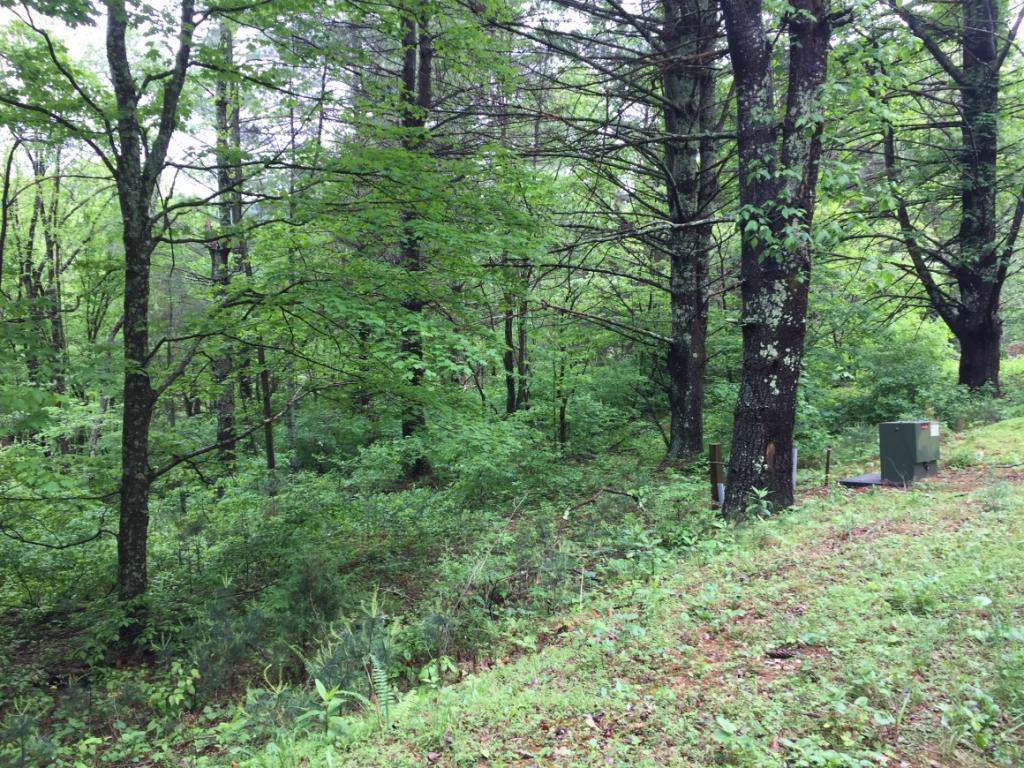 822 Sugar Hollow Road - Photo 1