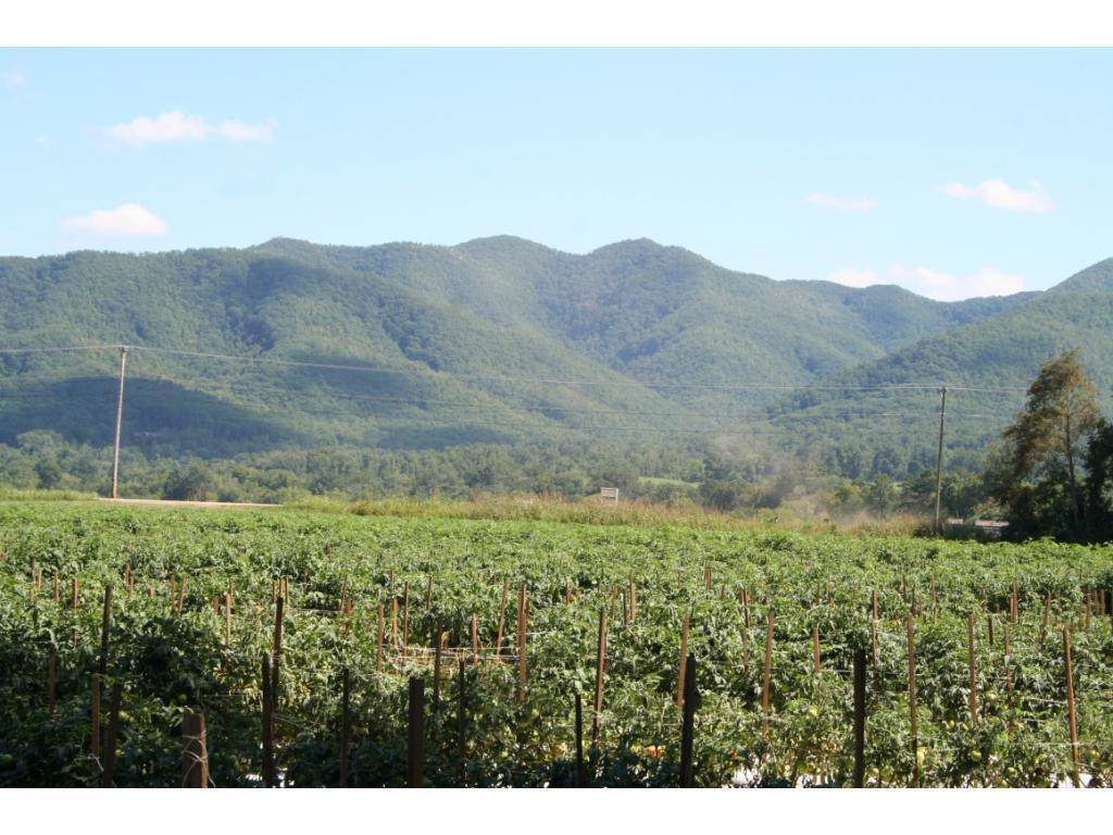 2200 Bailey Bridge Road - Photo 1