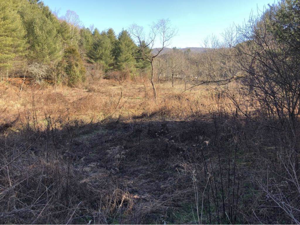 Tbd Greer Branch Road - Photo 1 Tbd Greer Branch Road - Photo 1