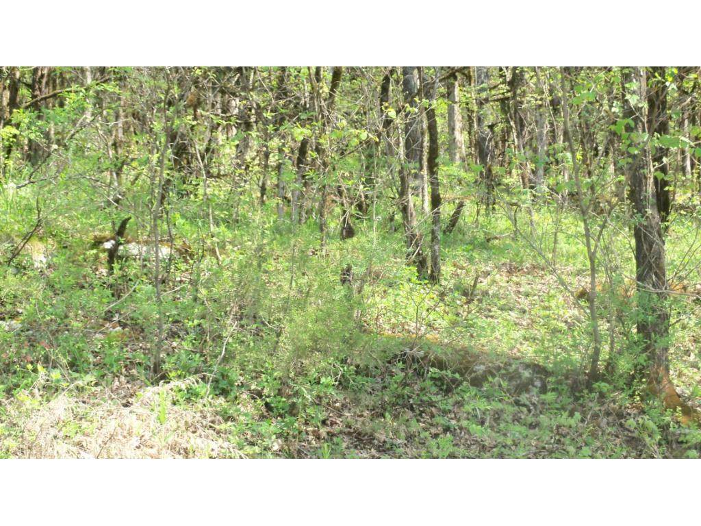 0 1 Mill Creek - Photo 1