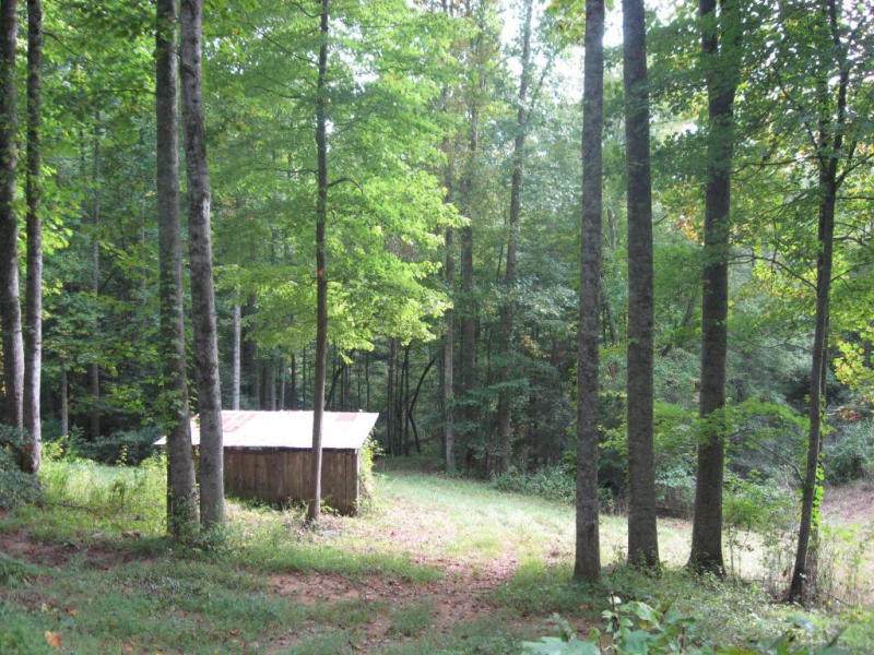 369 Fork Mountain Road - Photo 1