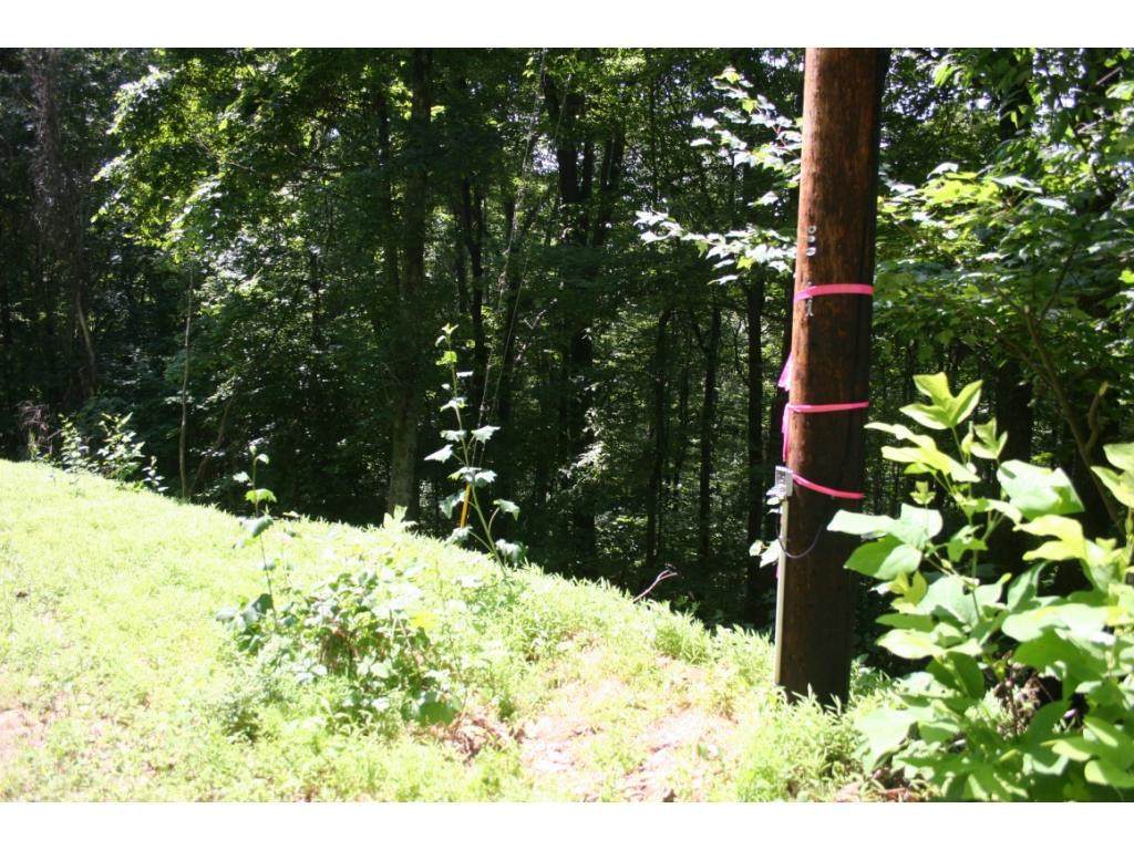 Tbd Pinecrest Street - Photo 1