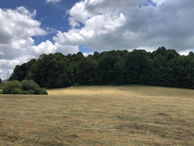 Tbd Hillman Highway - Photo 1