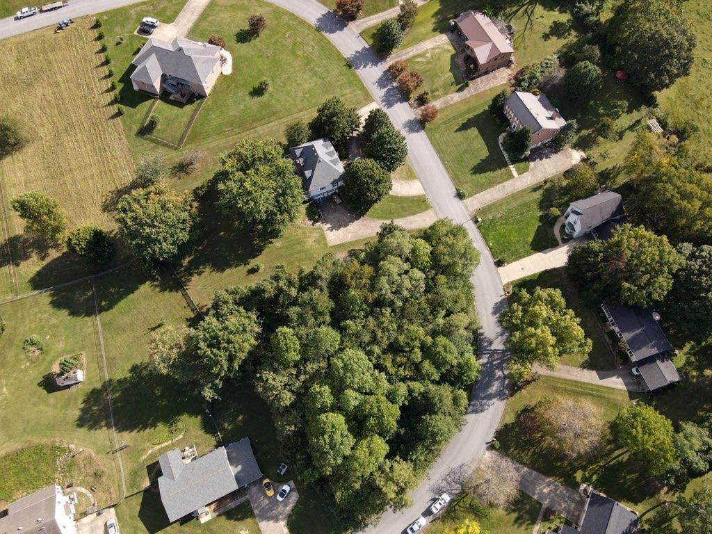107 Magnolia Dr Drive - Photo 1