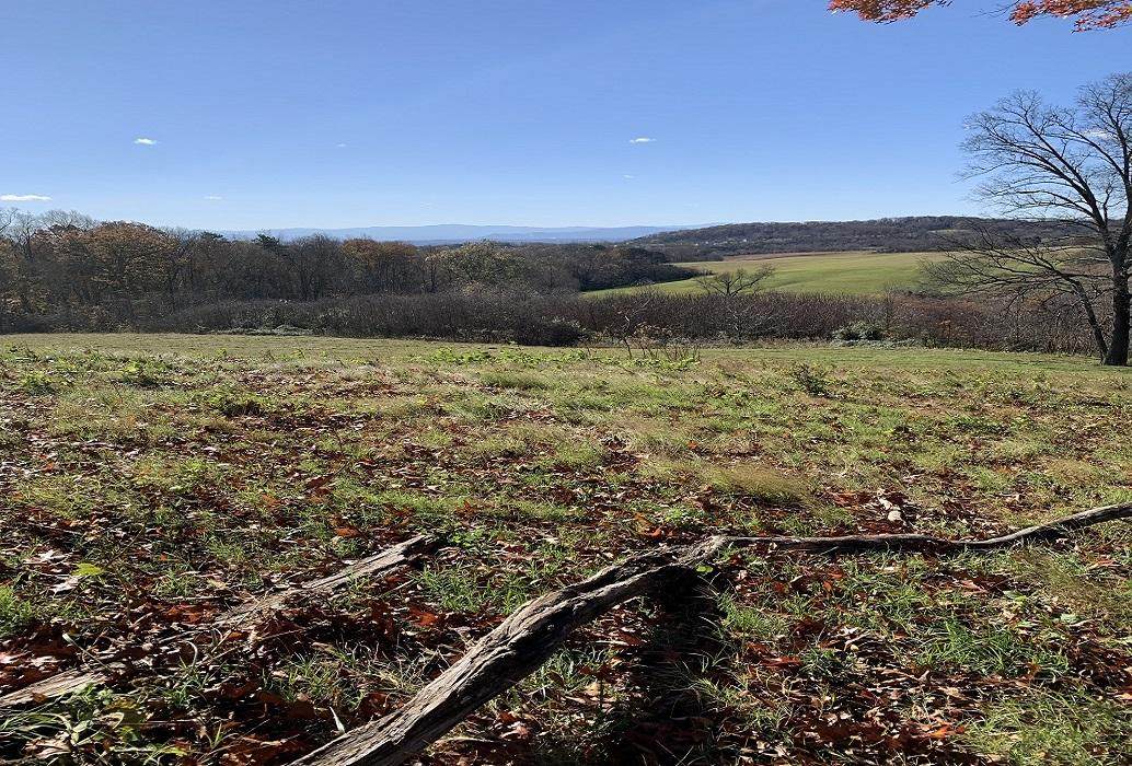 13.33 Acre Warrensburg Road - Photo 1