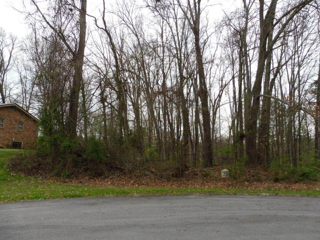 0 Briarwood Drive - Photo 1